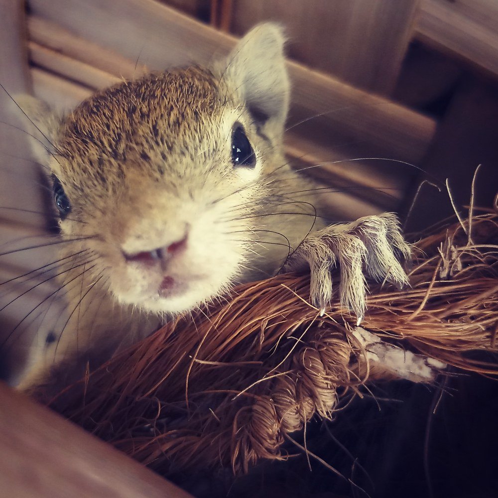 Photograph by VijayaKumar Velusamy