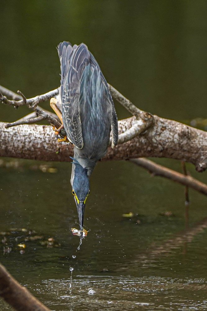 Patience is the key to success