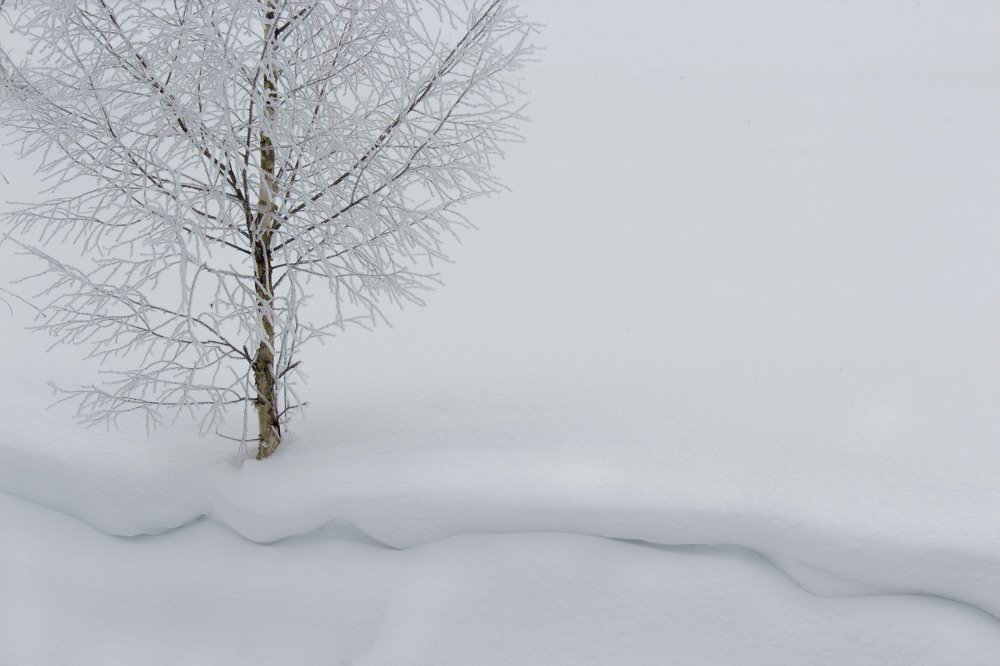 Photograph by Arta Joma