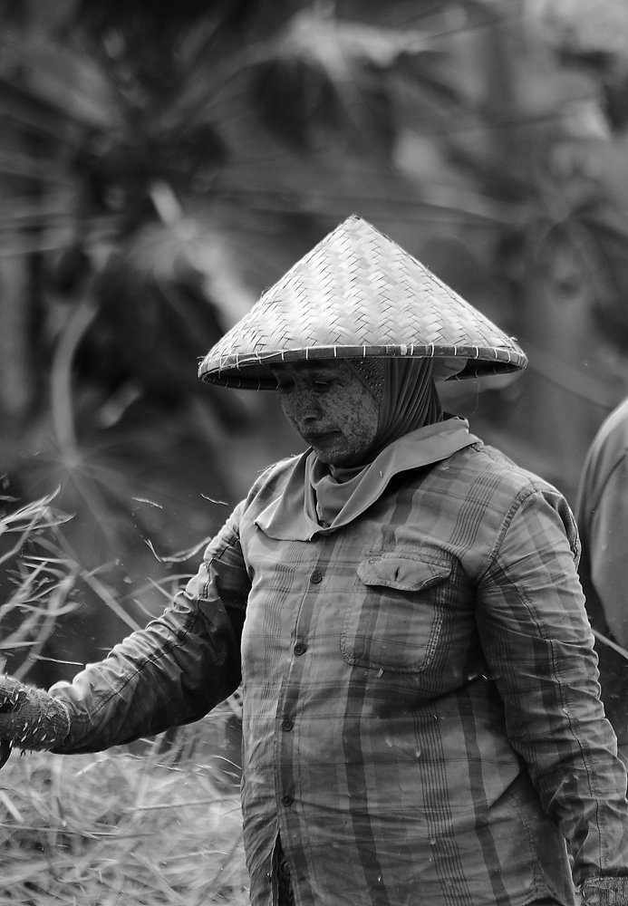 Фотография автора Deny Wahyudi