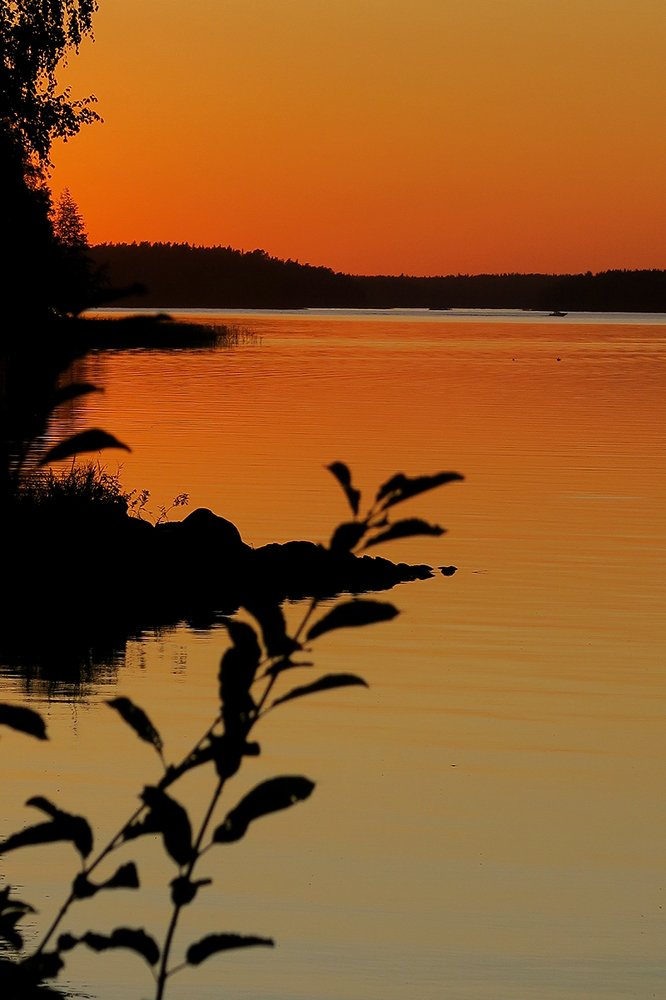 Photograph by Светлана Клинова