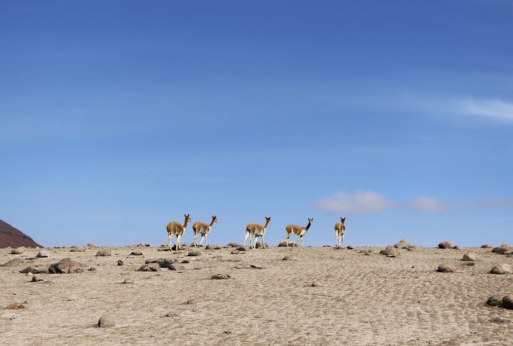 Photograph by LINDA KIMBERLY PERALTA MARTINEZ