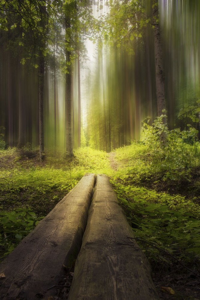 Photograph by Arta Joma