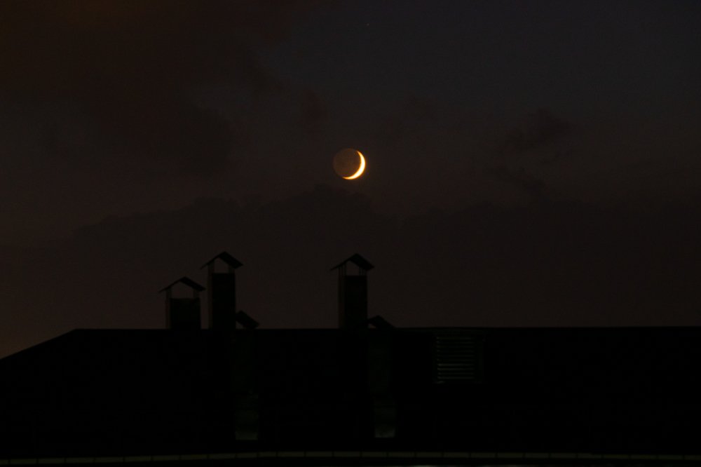 Фотография автора Оксана Белозерская