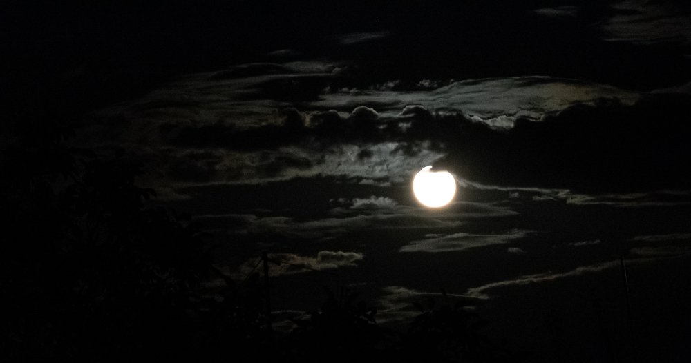 Фотография автора Оксана Белозерская