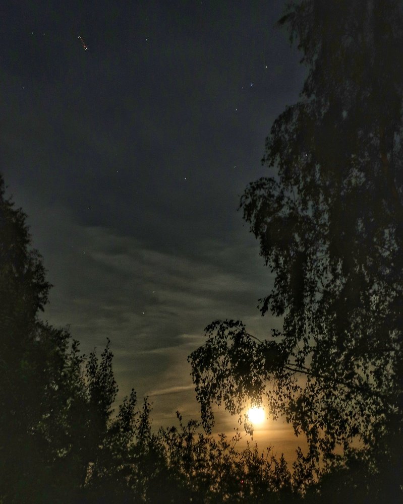 Photograph by Александр Мокеев