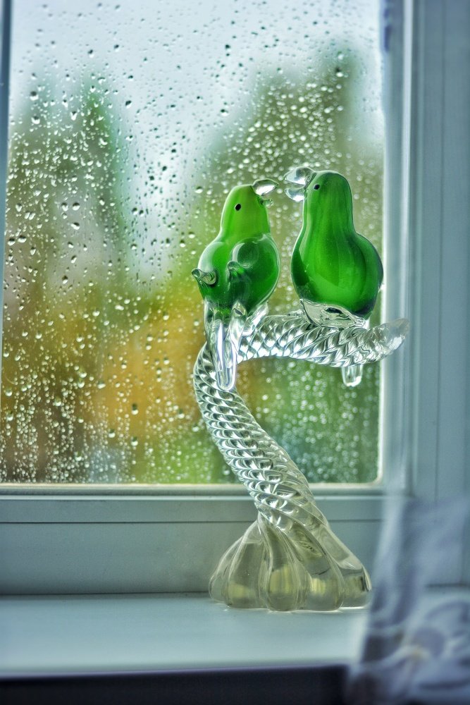 Photograph by Александр Мокеев