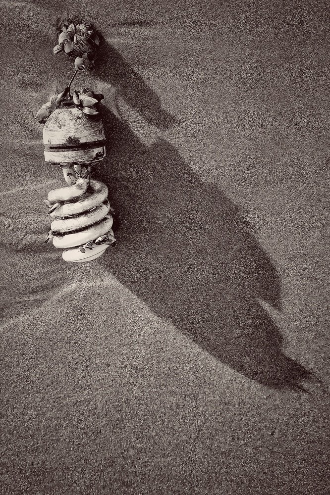 Photograph by Александр Мокеев