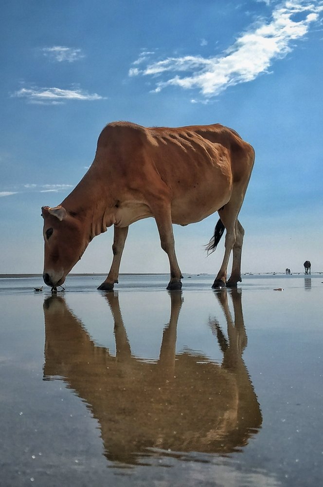 Photograph by Subrata Parui