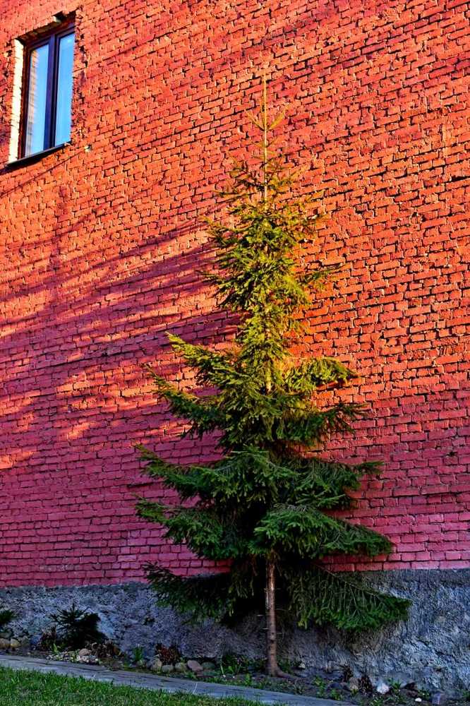 Photograph by Alexey Smal