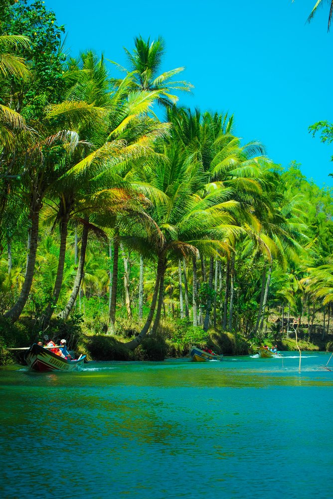 Photograph by Yusak priyanto