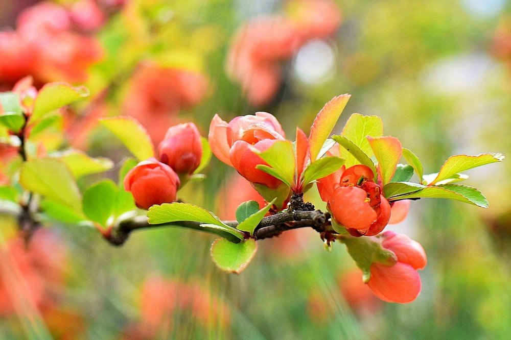 Photograph by Alexey Smal