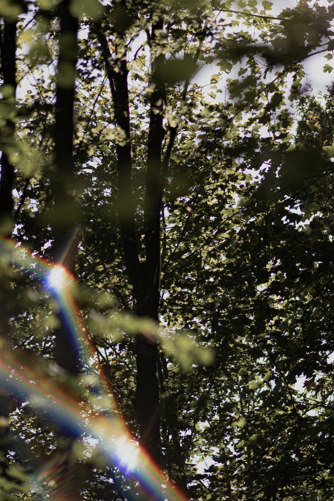 Photograph by Natalja Mountian