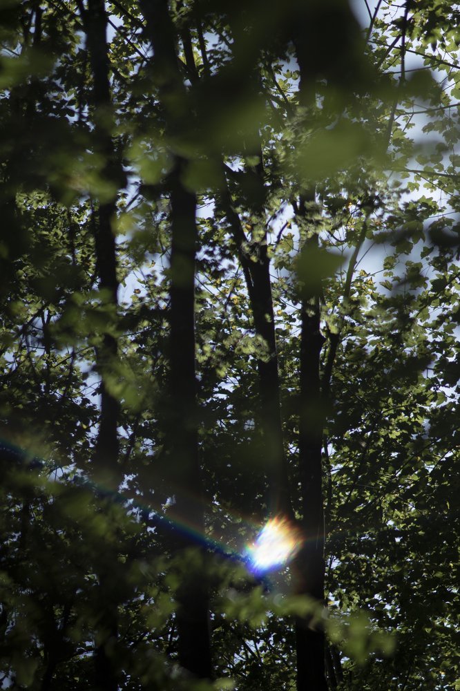 Photograph by Natalja Mountian