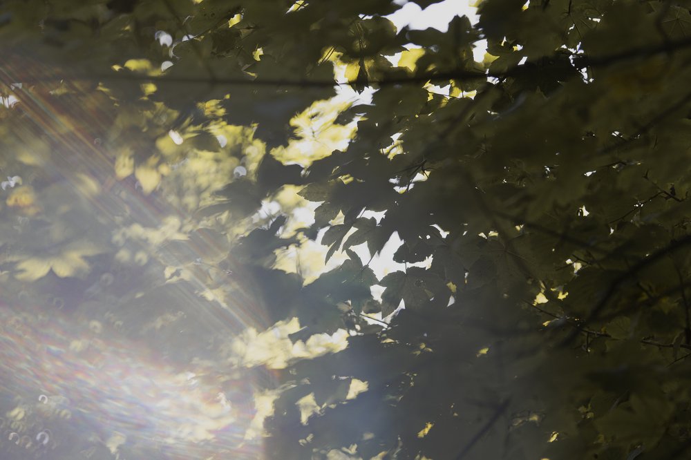 Photograph by Natalja Mountian