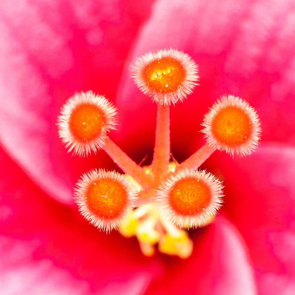 Photograph by Yusak priyanto