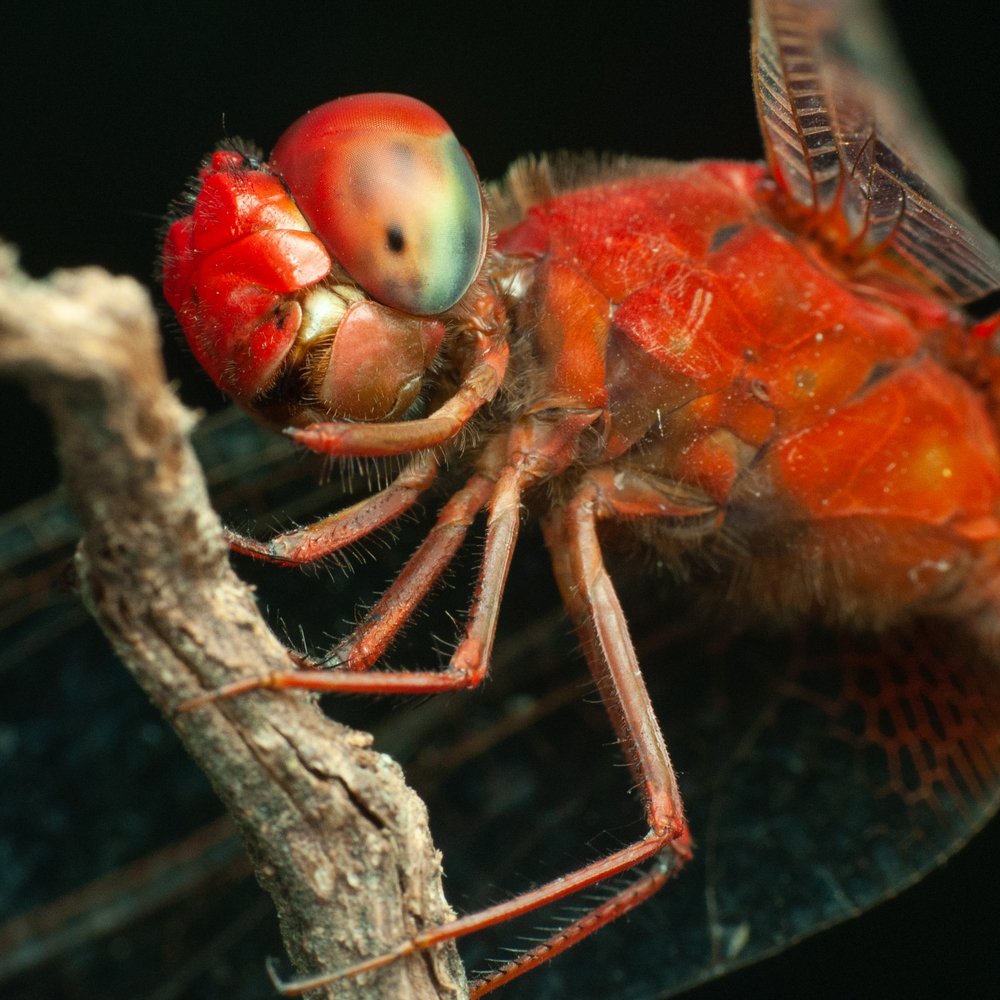 Photograph by Yusak priyanto