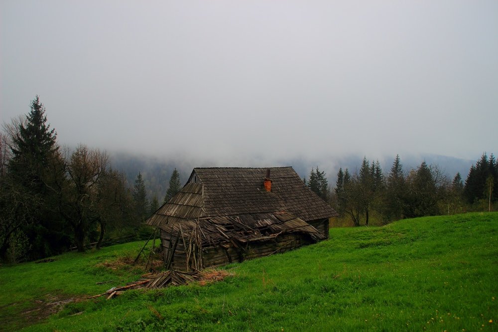 Photograph by 