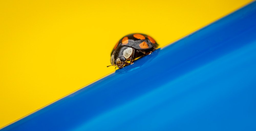 Photograph by Рымаров Александр