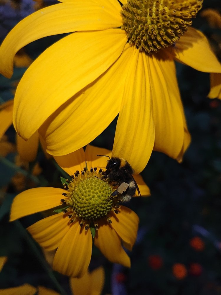 Photograph by Людмила Богачева