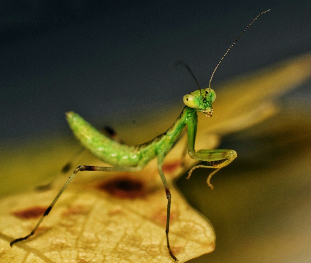 Photograph by Hassan mohammadi