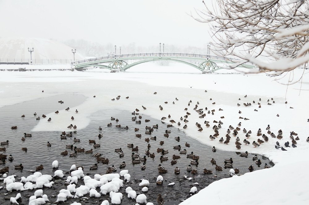 Photograph by Наталия Мамаева