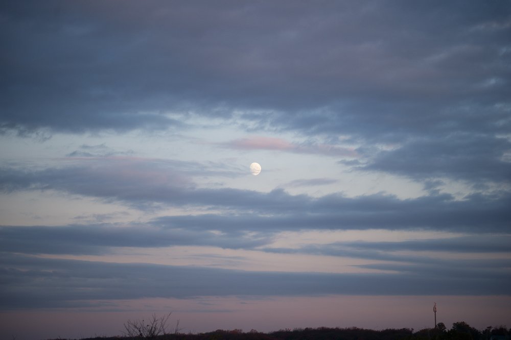 Фотография автора Ольга Осипова