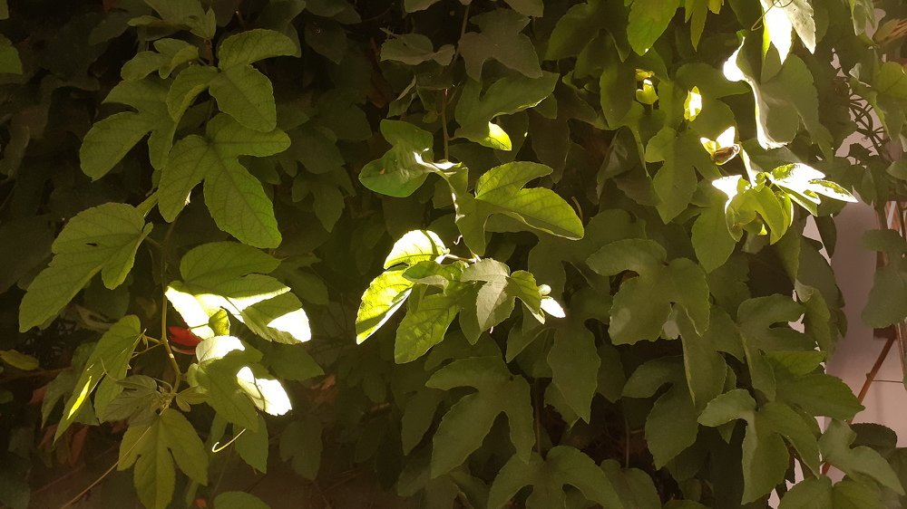 Photograph by Heri susanto