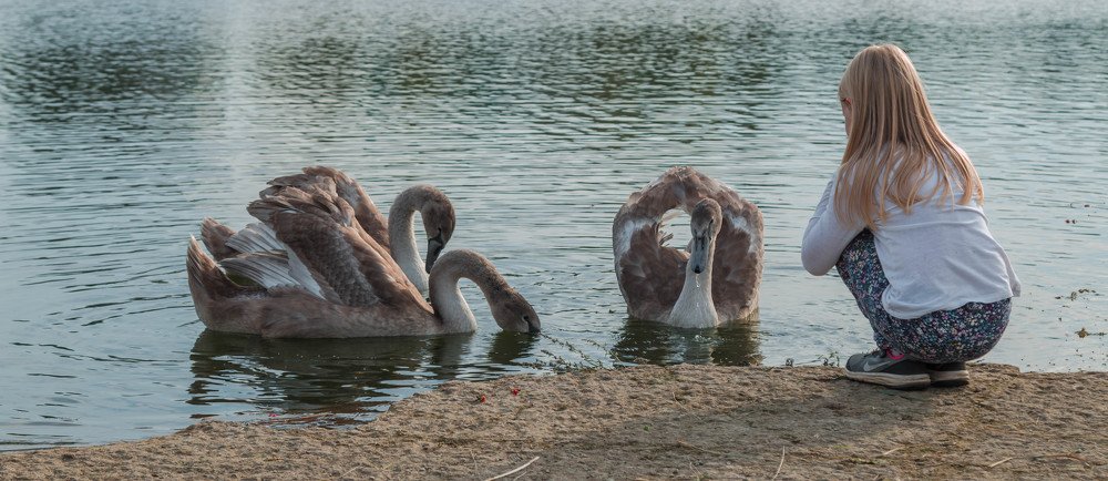 Photograph by juri kutukov