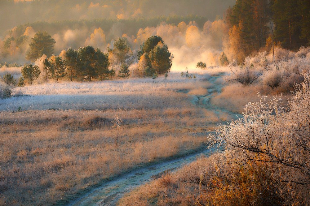 Осеннее утро