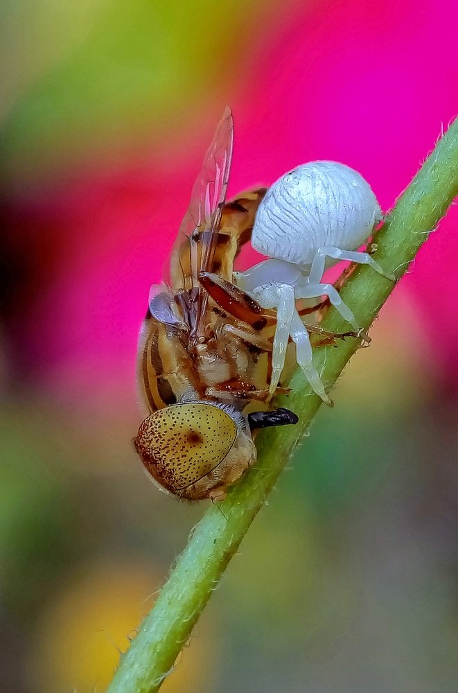 Photograph by Gurudas De