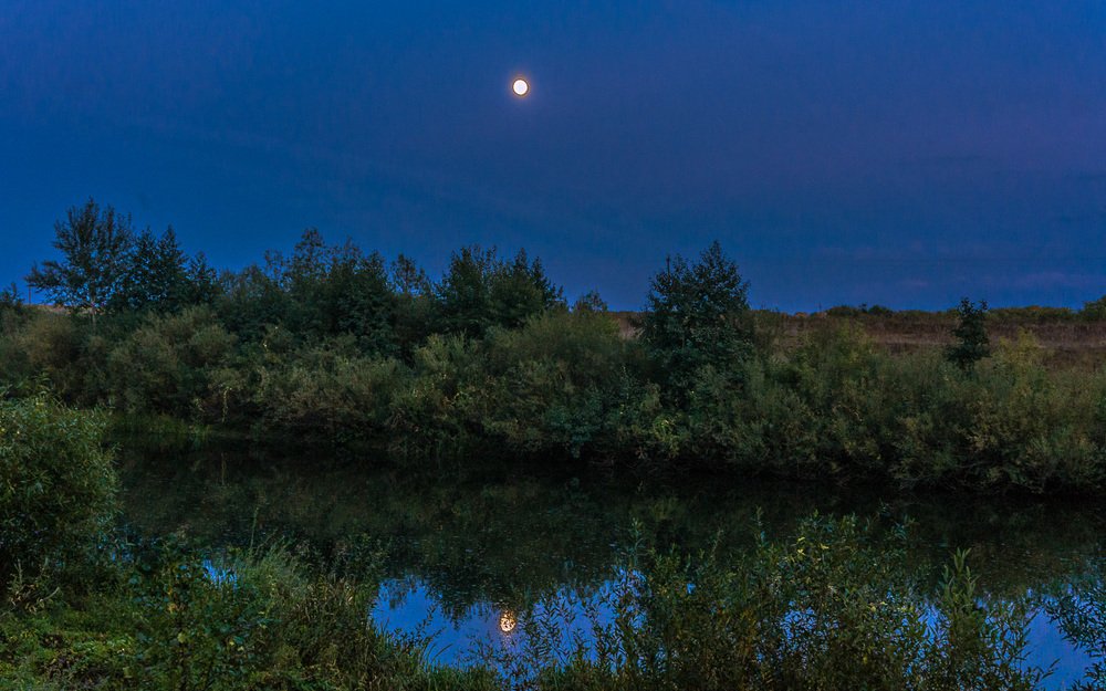 Лунная ночь.