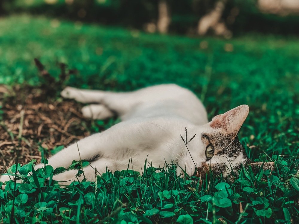 Photograph by Карина Мамлютова