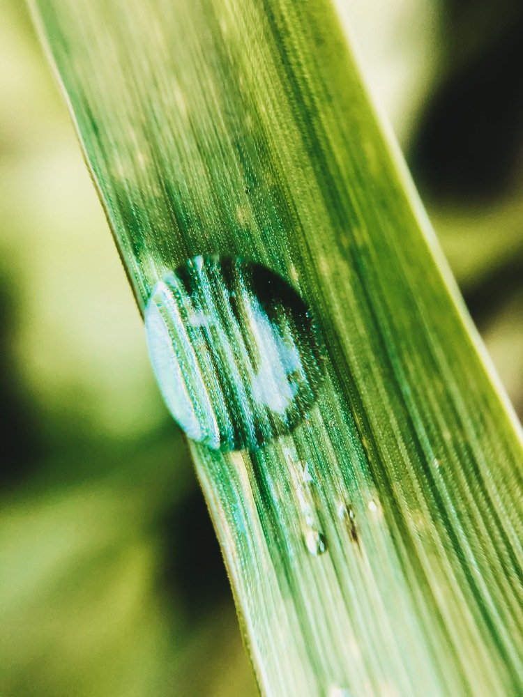 Photograph by Карина Мамлютова