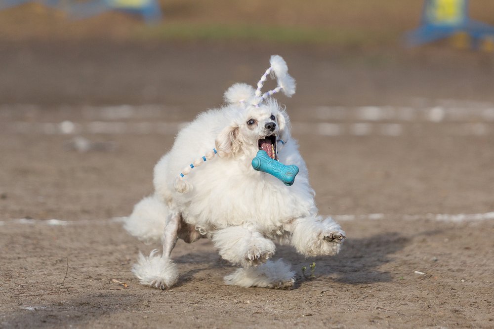 Photograph by Mikhail Azarenkov