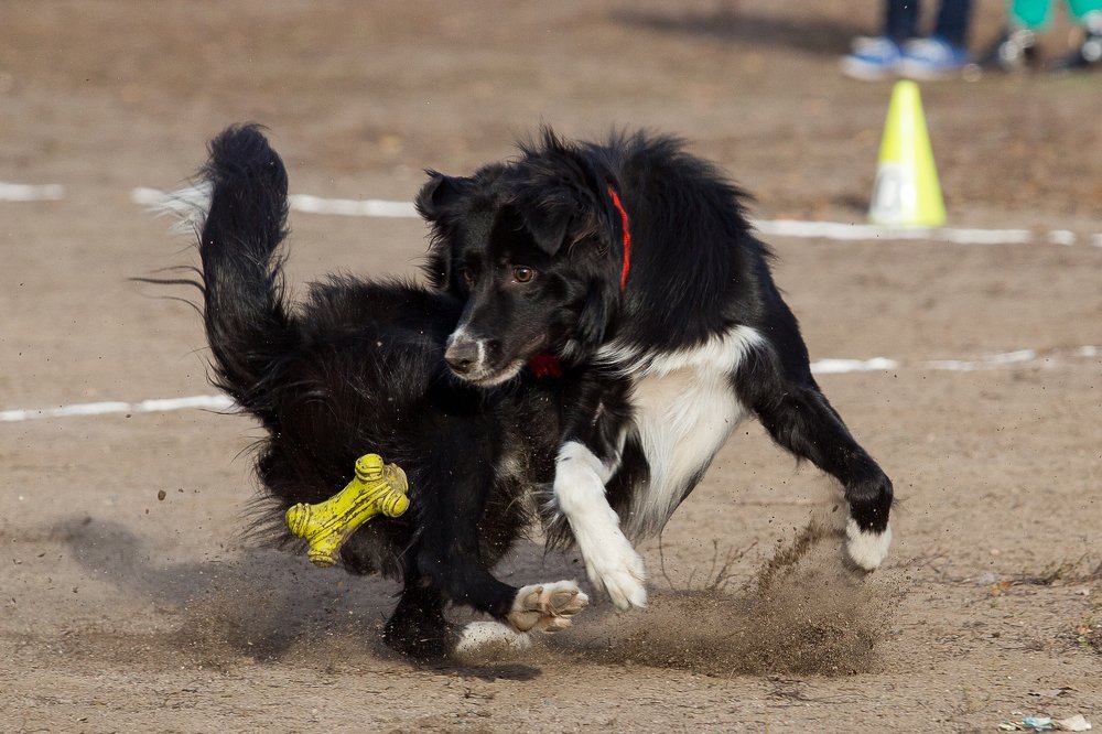 Photograph by Mikhail Azarenkov