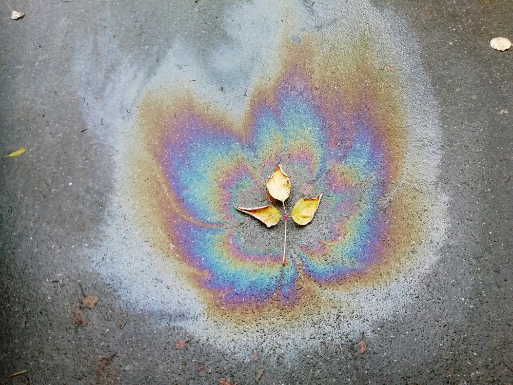 Photograph by Александр Забавка