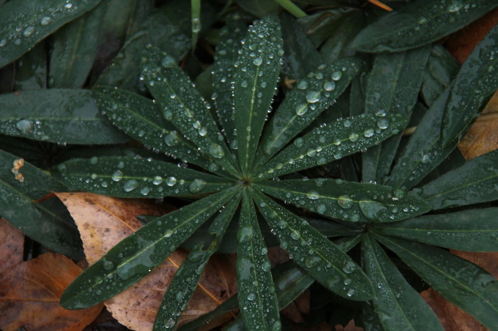 Photograph by Игорь Улитин