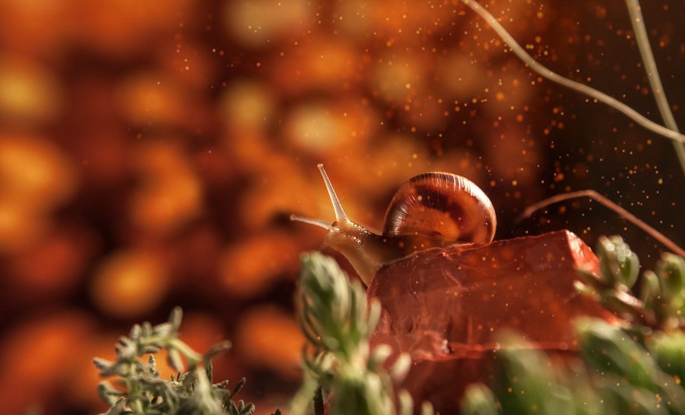 Photograph by Михаил Курихин