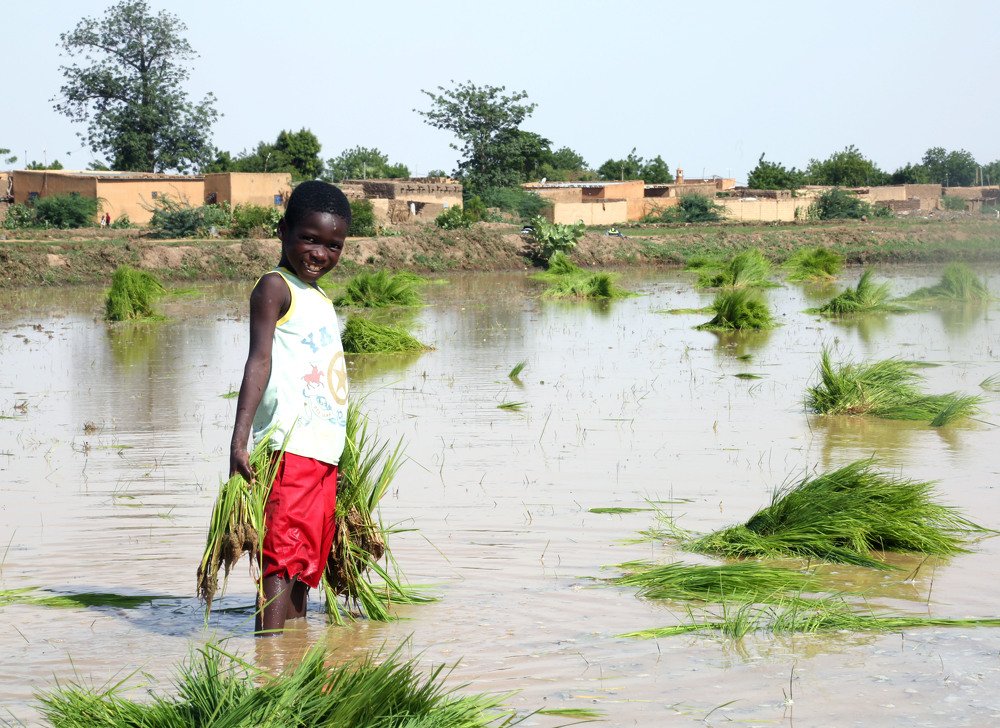 Photograph by Hama Mounkaila