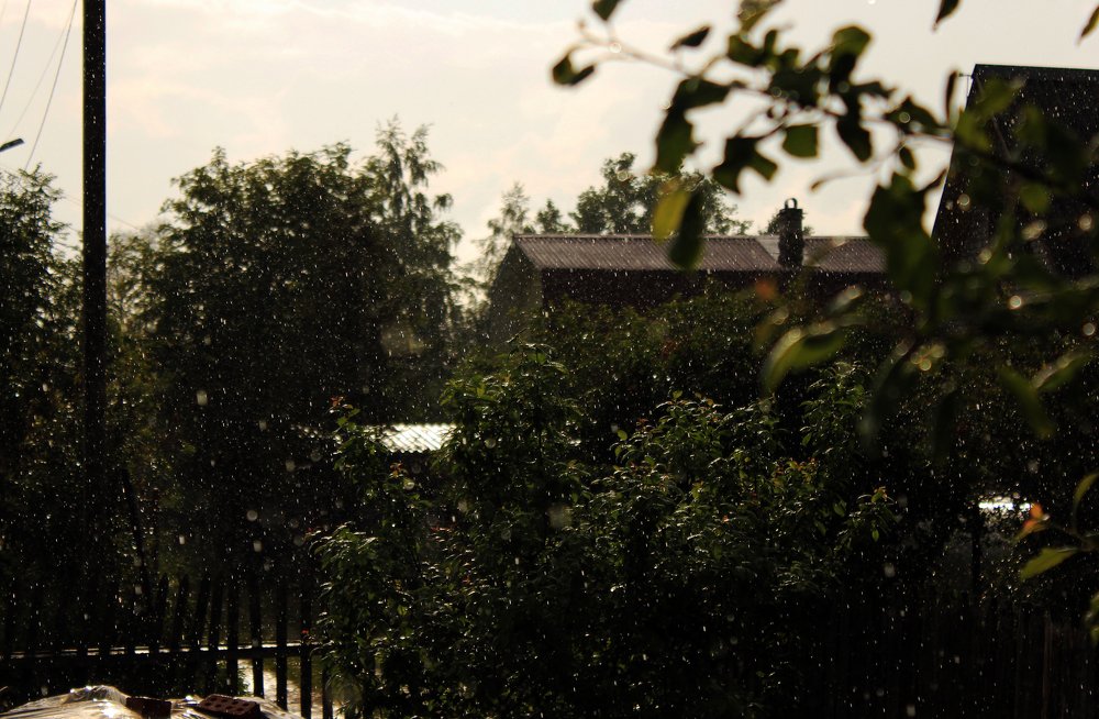 Photograph by Светлана Ржевская