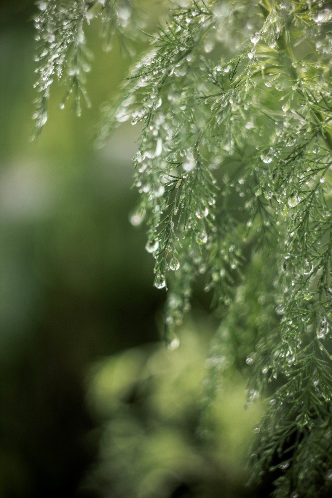 Photograph by Светлана Ржевская