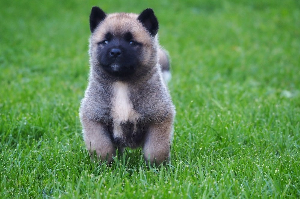 Photograph by Ирина