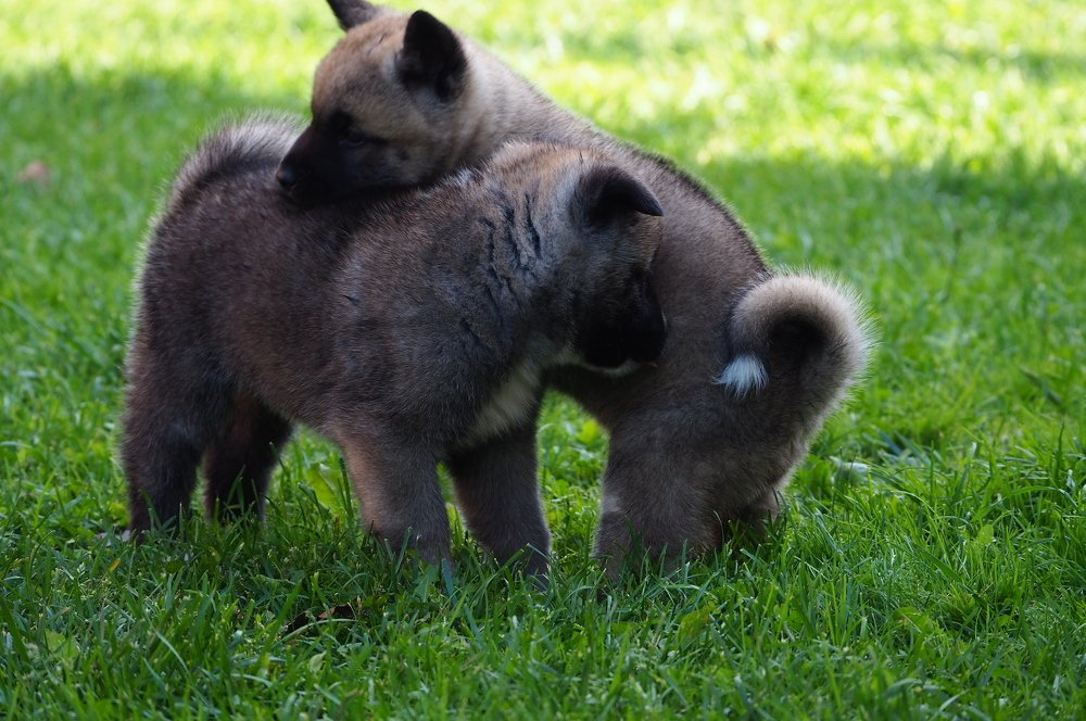 Photograph by Ирина