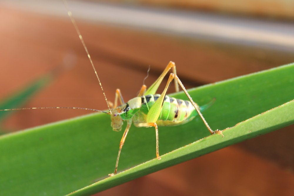 Фотография автора Богдан Кандауров