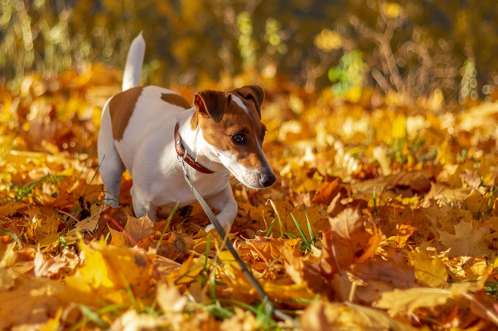 Photograph by sergun