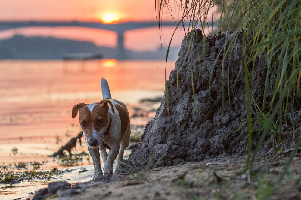 Photograph by sergun