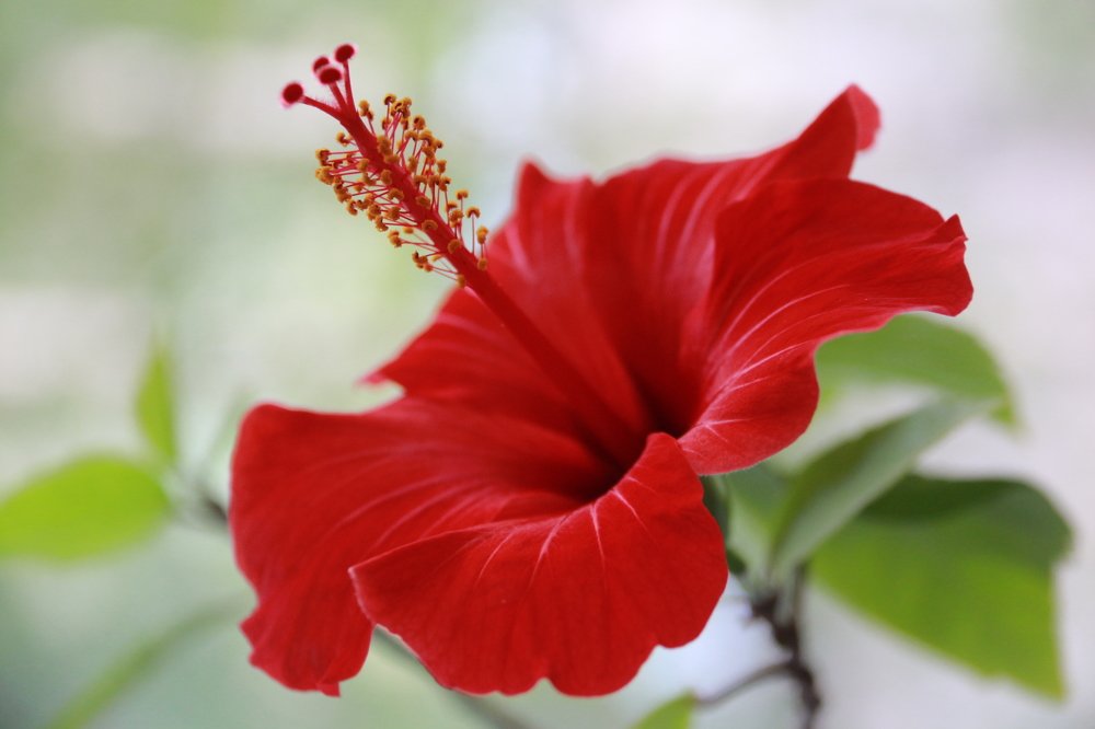 Photograph by Василий