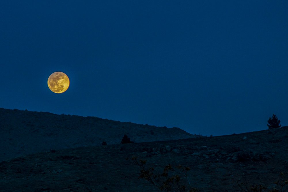 Photograph by Chia Hasankhali