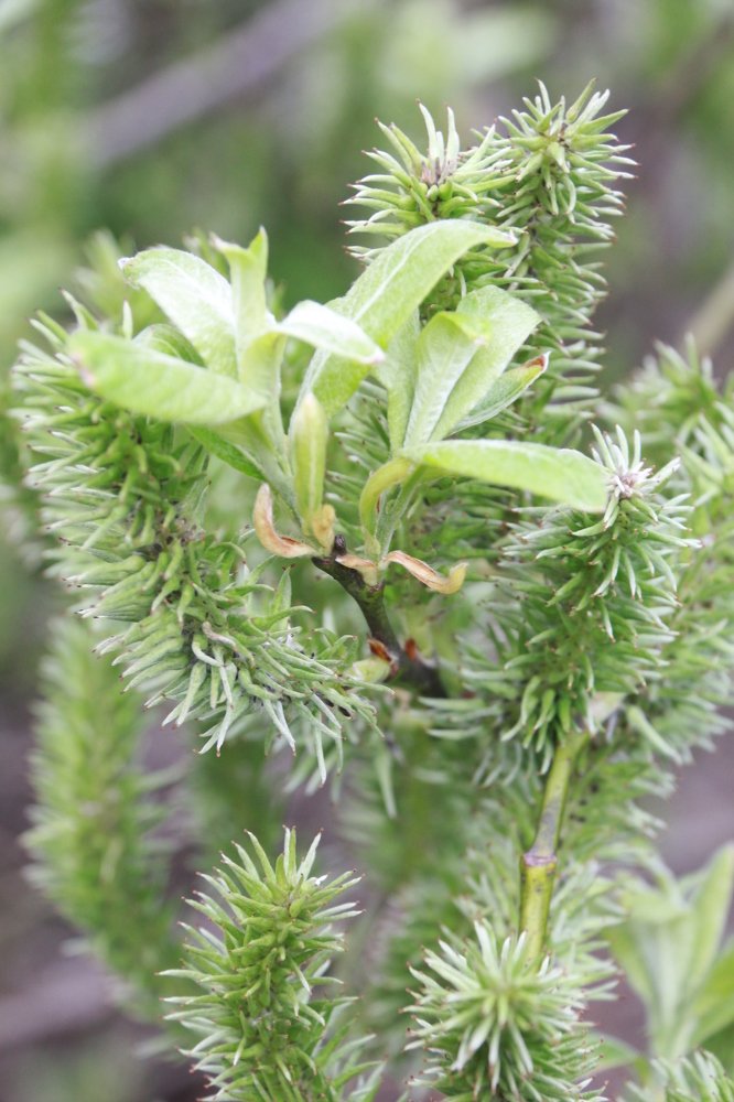 Photograph by Василий